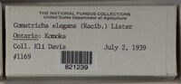 Image Associated With the Occurence
